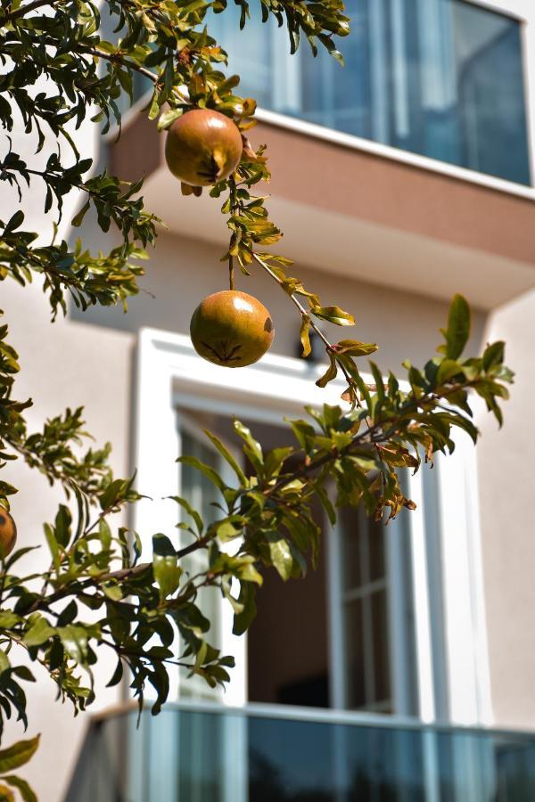 Airport Garden Hotel Rinas Exterior photo